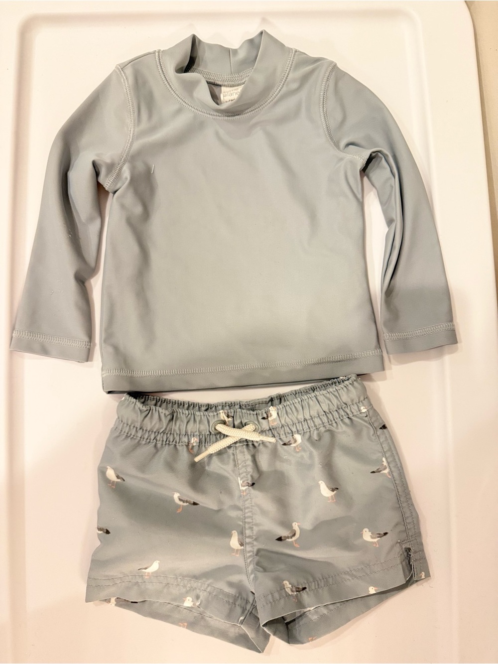 Kids Long Sleeve Rash Guard and Seagull Swim Shorts - Light Gray